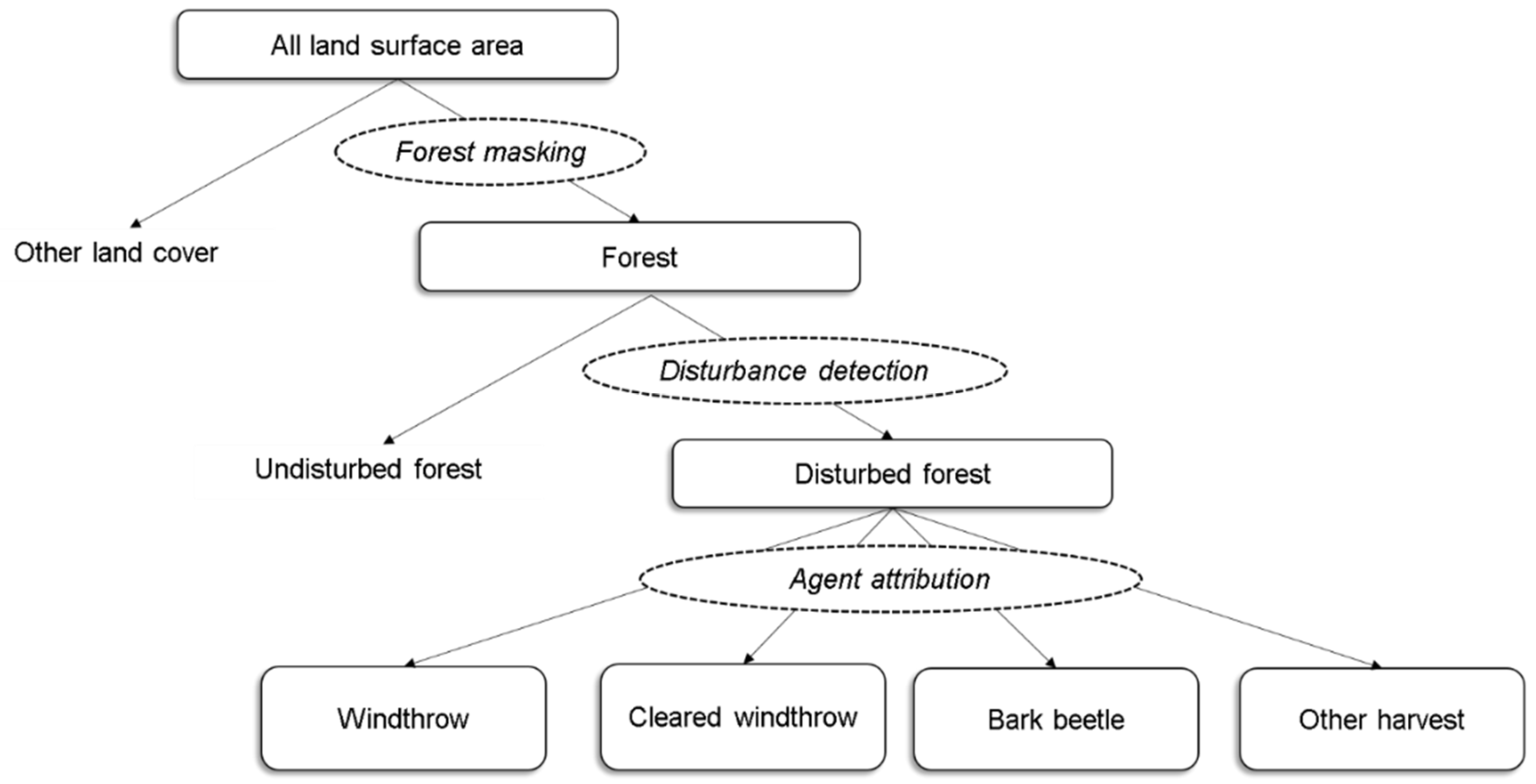 Forest disturbance detection