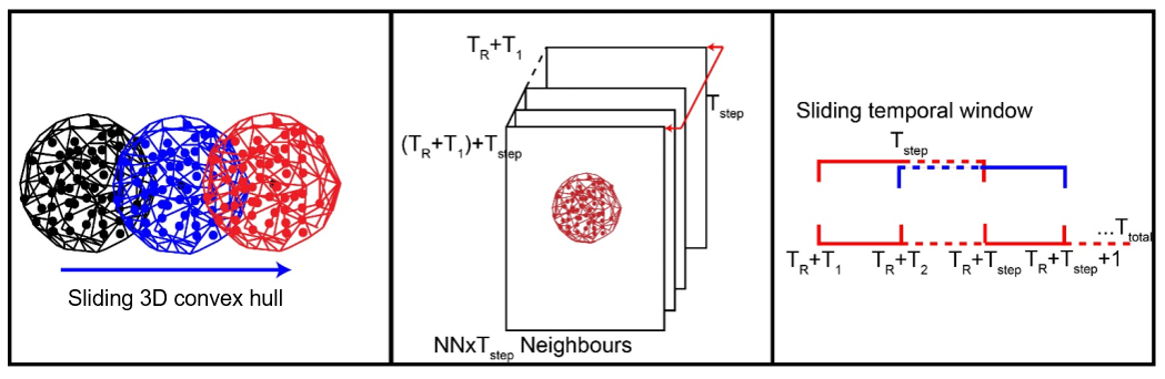 spatiotemporal neighborhood