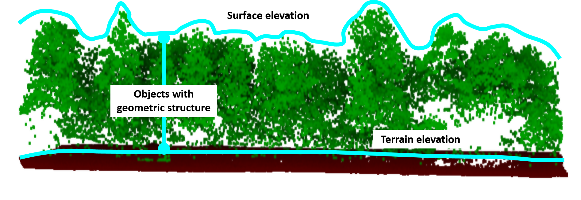 terrain, surface & object structure