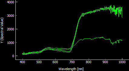 Spectral Curves - Grass Nardus Stricta in 4 Months