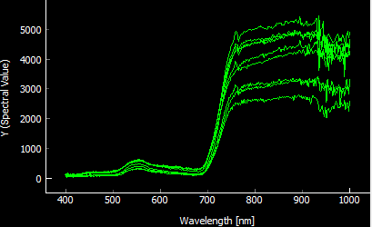 Spectral Curves - Grass Deschampsia cespitosa
