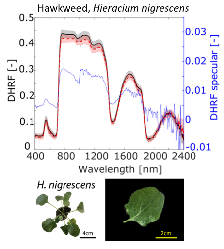 Figure 20