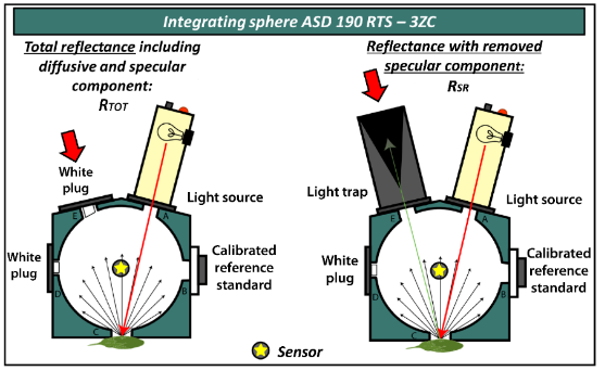 Figure 19