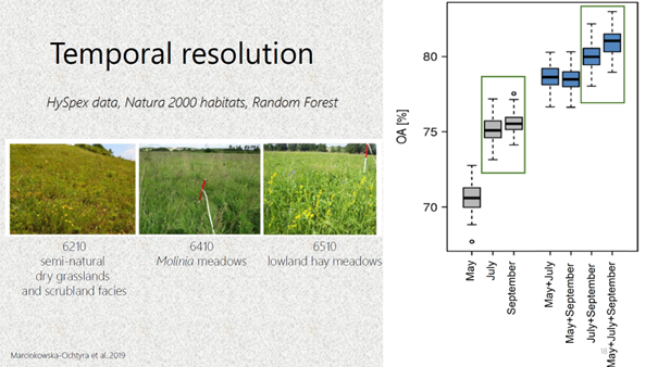 Different phenological phases of Calamagrostis epigejos captured in HySpex data and comparison of classification accuracies according to the date of individual phenological phase (date of the data acquisitions)