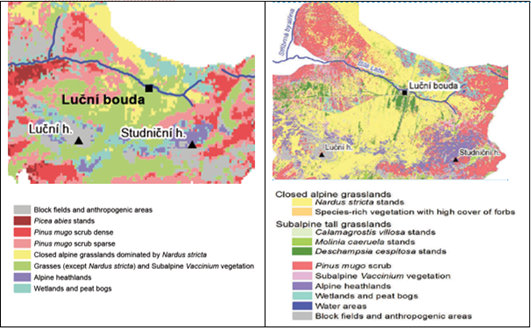 Classification outputs for different vegetation units from remote sensing data with different spatial resolution (left – Landsat 8, right – hyperspectral sensor APEX)