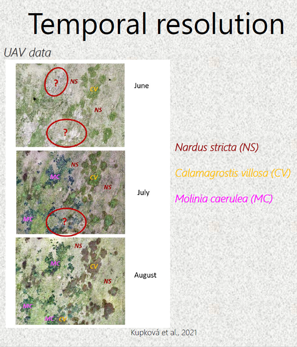 Comparison of overall accuracies for UAV monotemporal (1-date – July) and multitemporal data (2-date and 3-data – July, August, September) using Maximum likelihood (MLC), Random forest (RF) and Object-based classification (OBIA).