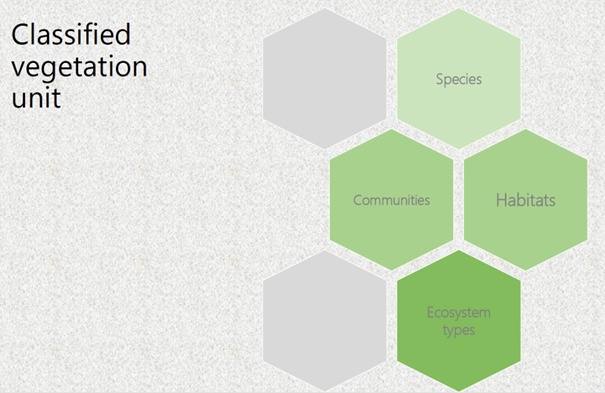 Vegetation units that can be classified based on mainly spatial resolution of remote sensing data