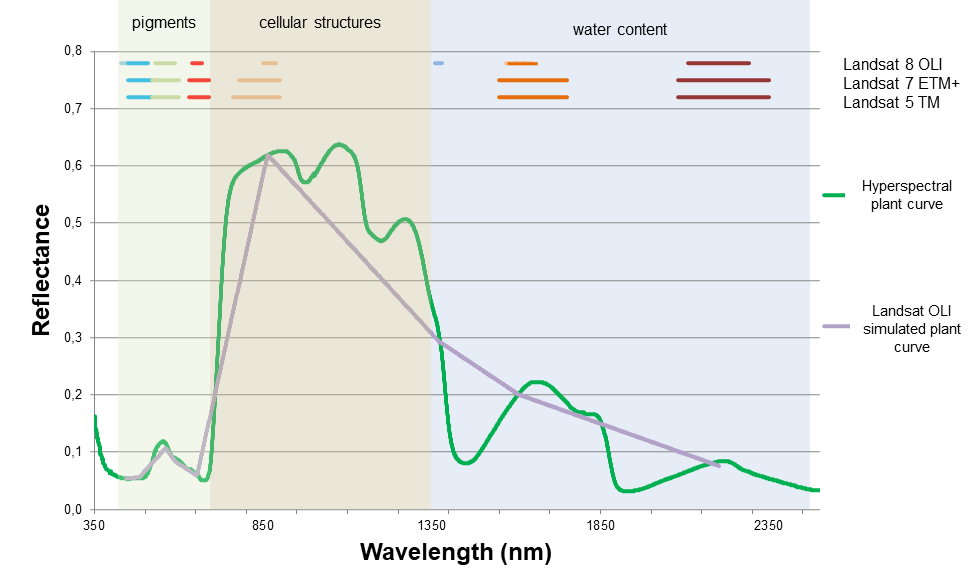 Differences between Landsat sensors vs hyperspectral data Multi- vs hyperspectral data