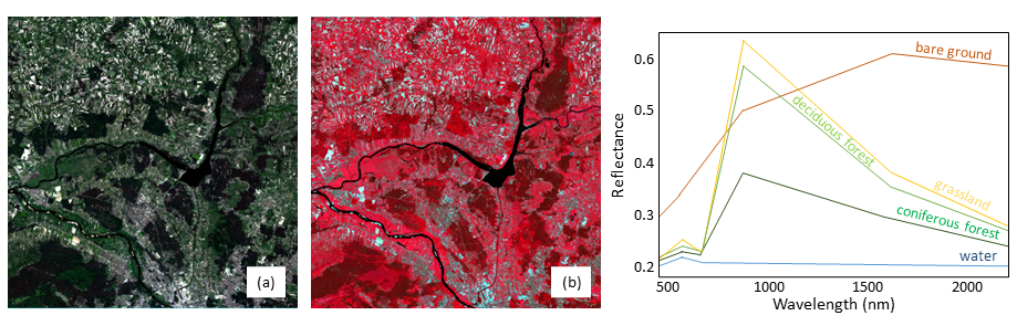 Multispectral data concept: left: Landsat 9 OLI-2 natural and false colours RGB compositions (a) - 432 and b) 543 bands used), right: spectral curves for selected land cover classes (Note: the reflectance values for specific objects are from a particular time, not general). Multispectral data concept