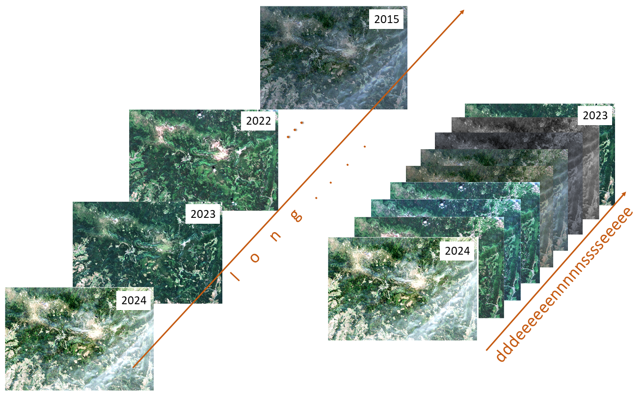 Long and dense time series data examples. Long and dense time series data examples