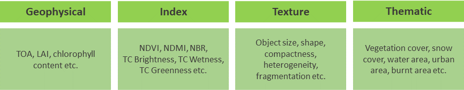 Example variables used in satellite time series data analysis Time series based variables