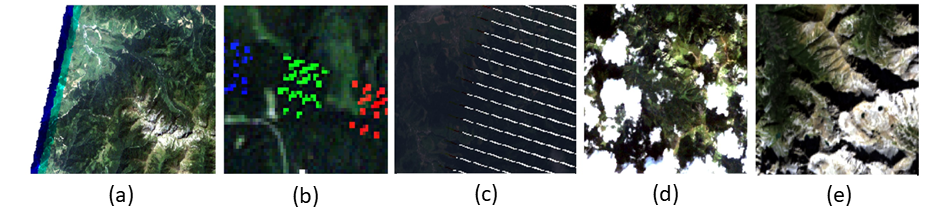 Examples of missing information in Landsat satellite data: (a) partial cover, (b) permanent ETM+ SLC-off error, (c) random TM registration error, (d) clouds with shadows, (e) topographic shadows. missing data
