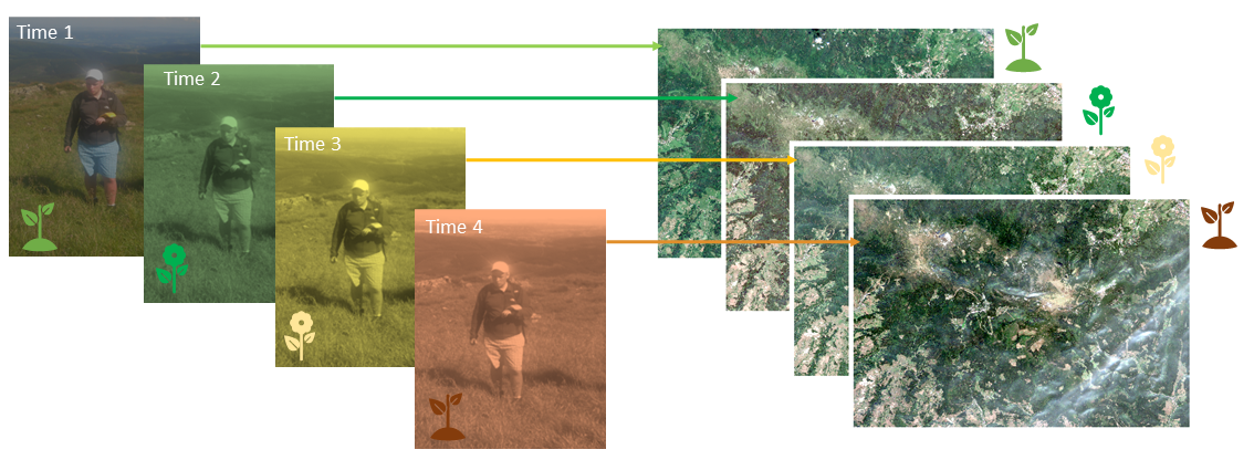 GPS measurements of alpine grasslands clas_ref_data