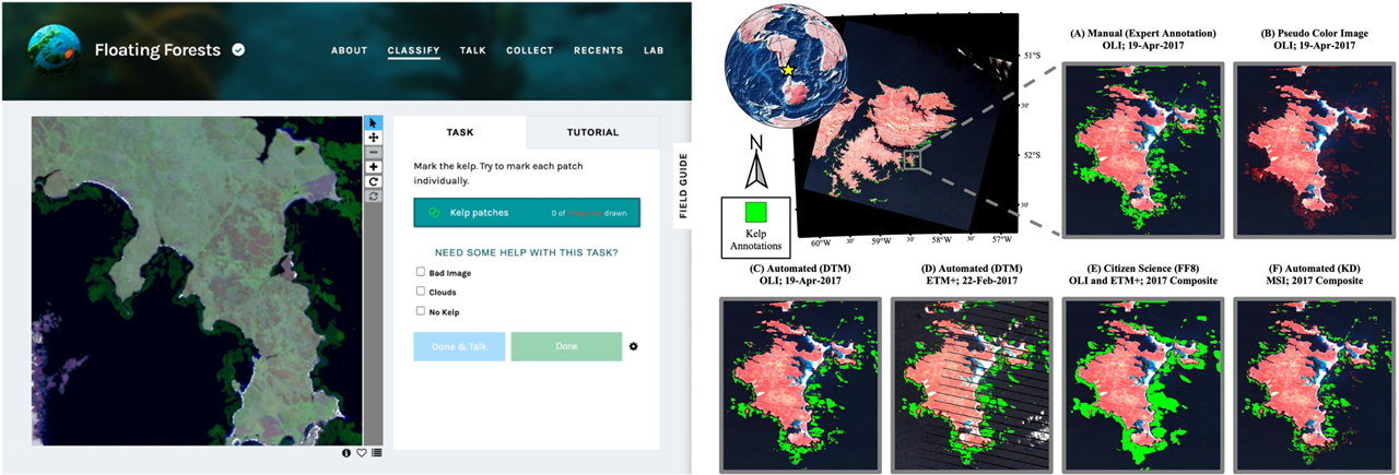 The example of citizen science project. Zooniverse
