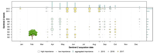 Aggregated feature importance derived from tree species Sentinel-2 classification result from 2015-2017. Figure 5