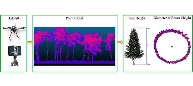 Tree change analysis tree_change_analysis