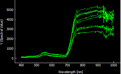Spectral Curves - Grass Deschampsia cespitosa Spectral Curves - Grass Deschampsia cespitosa