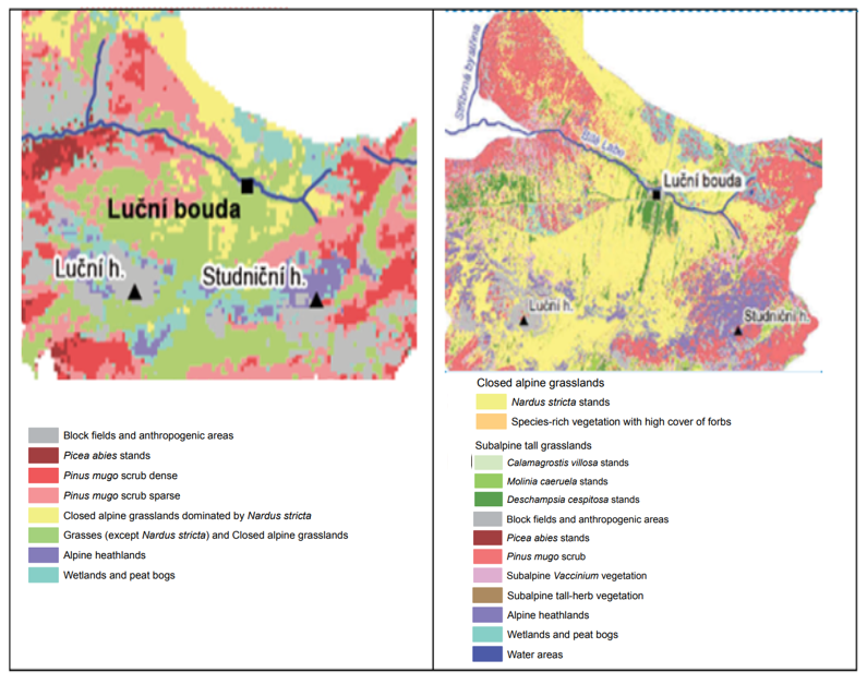 Classification outputs for different vegetation units.