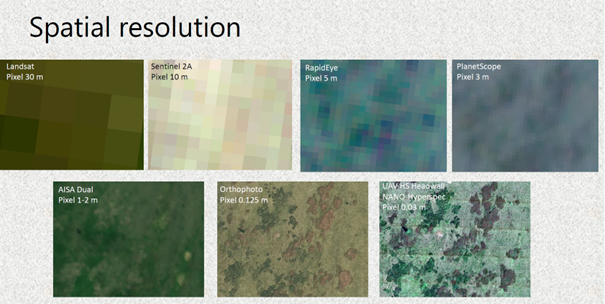 Bílá louka meadow.