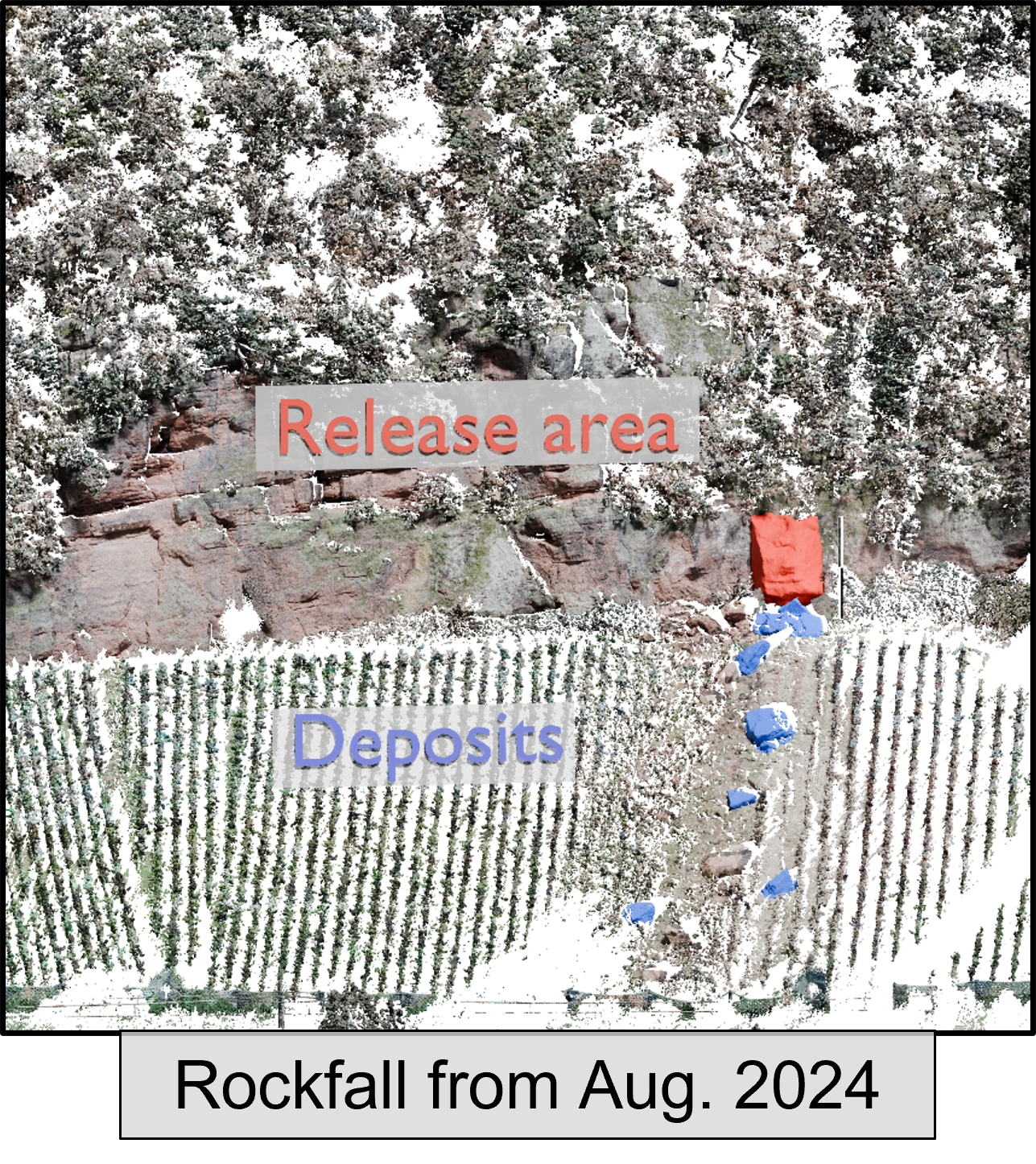 Frontal view of the Trier rock outcrop with the rockfall release area marked in red and the deposits marked in blue.