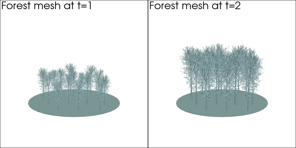 forest_orbit.gif